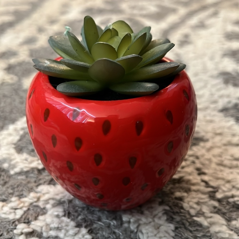 Target faux succulents, pineapple and strawberry, NWT! - Picture 5 of 7